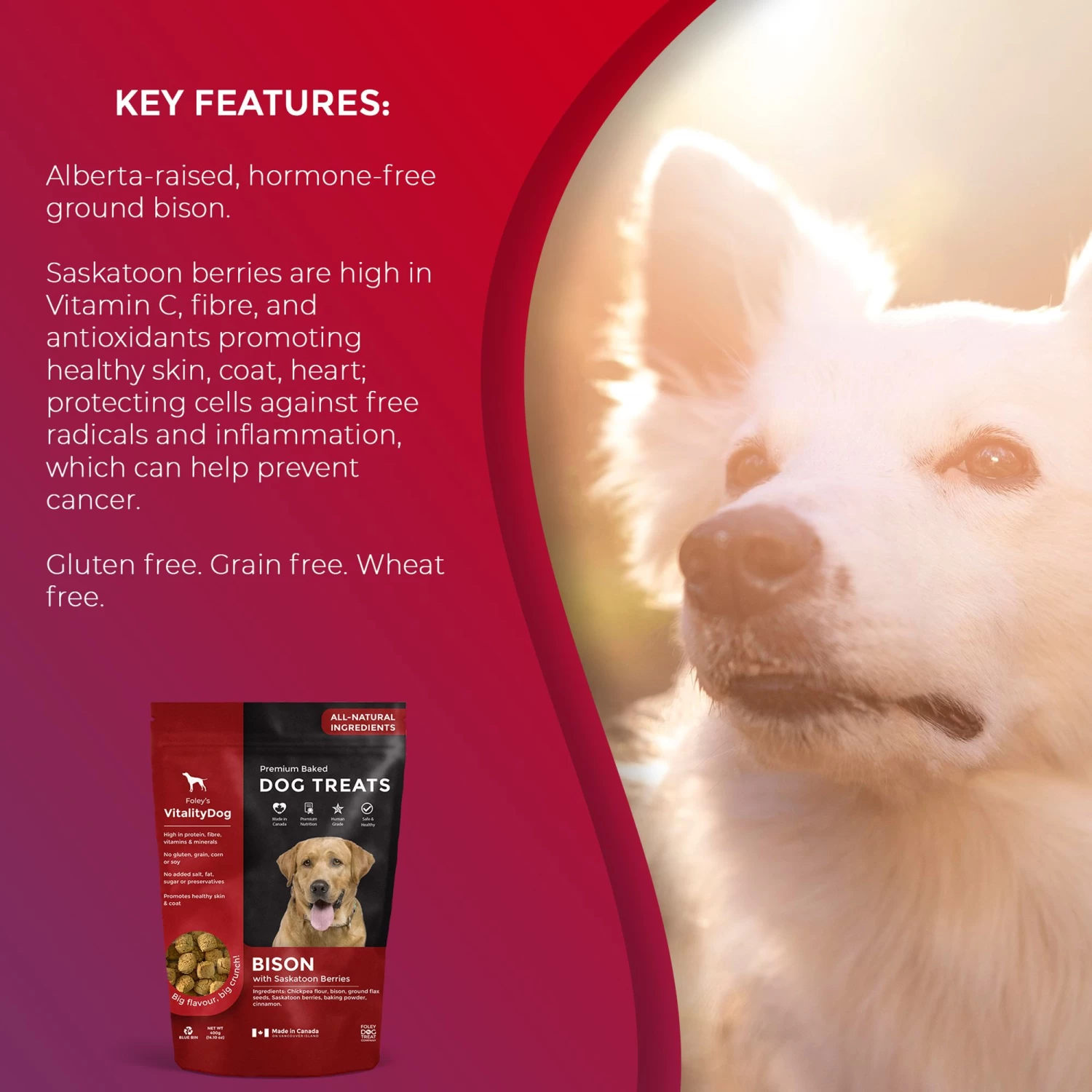 Foley's VitalityDog Crunchy Baked Dog Treats - Bison With Saskatoon Berries 4 Foley's VitalityDog Crunchy Baked Dog Treats - Bison With Saskatoon Berries - Image 4