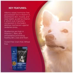 Foley's VitalityDog Crunchy Baked Dog Treat - Angus Beef With Blueberries 8 Foley's VitalityDog Crunchy Baked Dog Treat - Angus Beef With Blueberries -Pet Essentials Shop 5340091 alt3