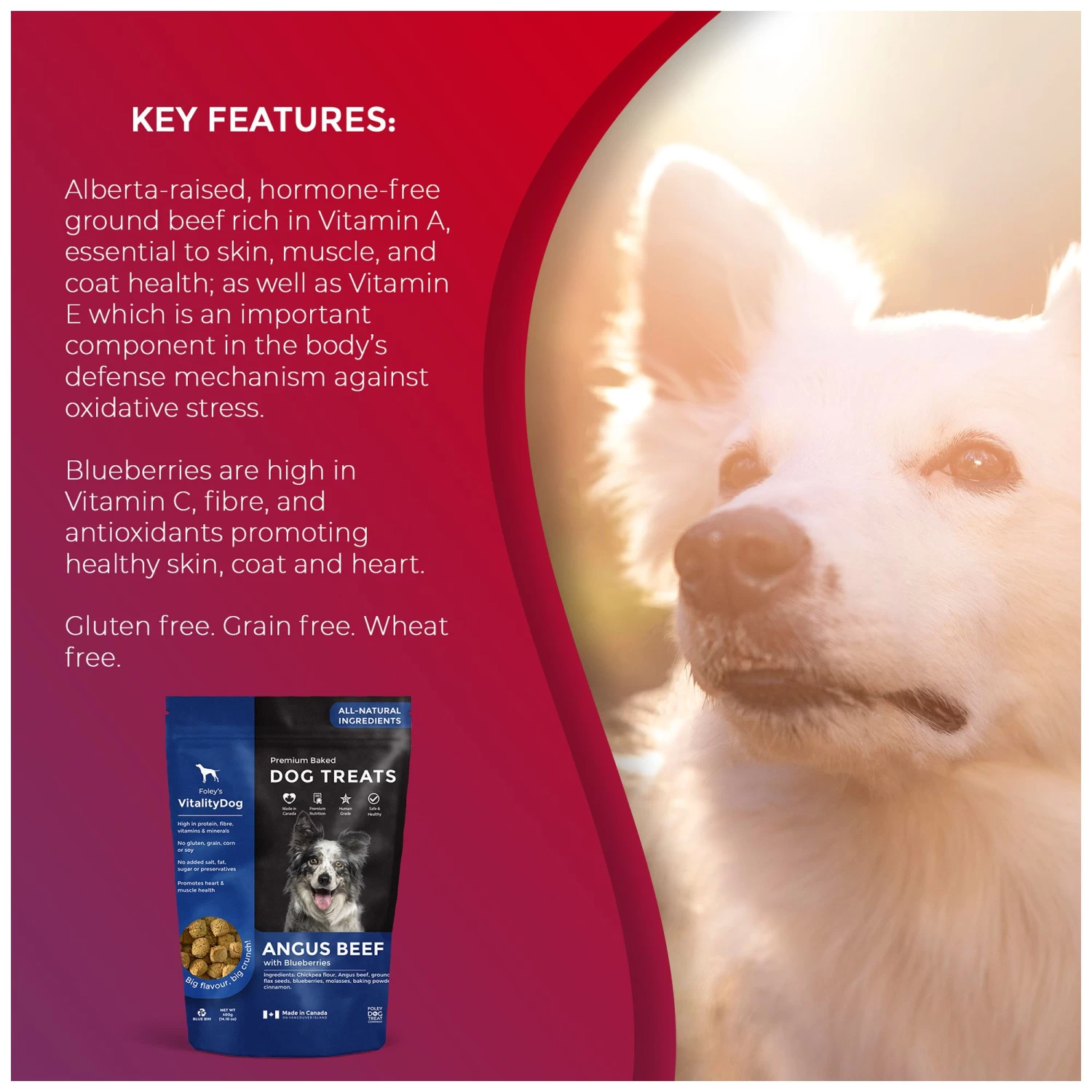Foley's VitalityDog Crunchy Baked Dog Treat - Angus Beef With Blueberries 4 Foley's VitalityDog Crunchy Baked Dog Treat - Angus Beef With Blueberries - Image 4