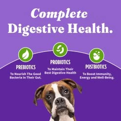 Halo Holistic Vegan Plant-Based With Superfoods Dry Dog Food - Digestive Care -Pet Essentials Shop 5340348 alt5