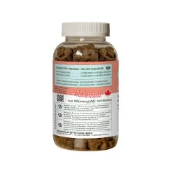 Microcyn PhD Daily Regime Dog Treats - Skin & Coat Care -Pet Essentials Shop 5340552 alt2