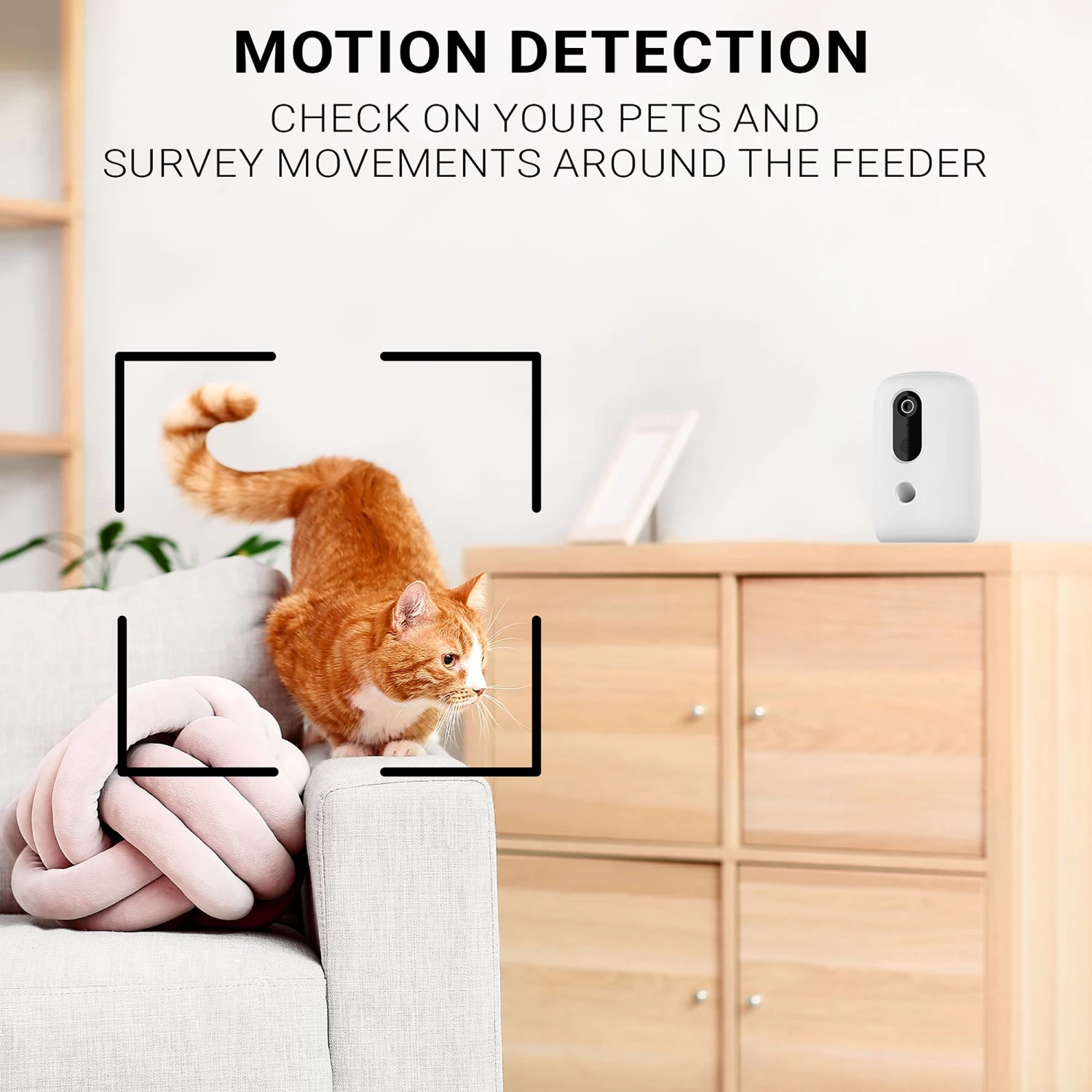 Instachew Purechew Snack Treat Dispenser For Cats And Dogs 5 Instachew Purechew Snack Treat Dispenser For Cats And Dogs - Image 5