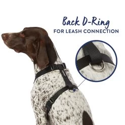 Top Paw® Signature Adjustable Dog Harness -Pet Essentials Shop 5341583 alt2