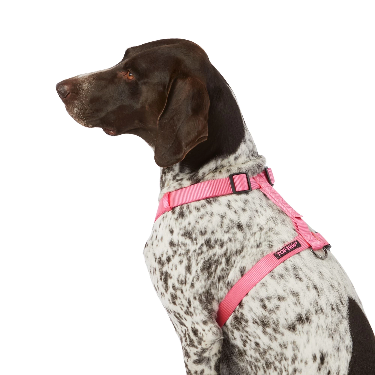 Top Paw® Gunmetal Adjustable Dog Harness 2 Top Paw® Gunmetal Adjustable Dog Harness - Image 2