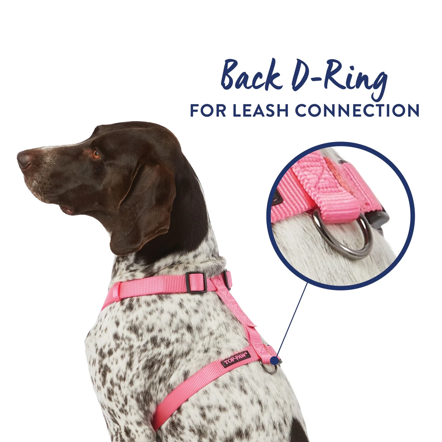 Top Paw® Gunmetal Adjustable Dog Harness 3 Top Paw® Gunmetal Adjustable Dog Harness - Image 3