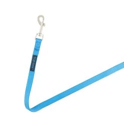Top Paw® Signature Core Dog Leash: 6-ft Long -Pet Essentials Shop 5341799 alt4