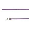 Top Paw® Nylon Dog Leash: 6-ft Long