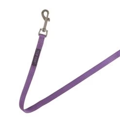 Top Paw® Nylon Dog Leash: 6-ft Long -Pet Essentials Shop 5341803 alt4