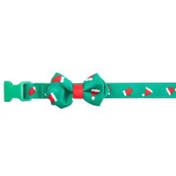 Merry & Bright™ Holiday Santa Hat & Mittens Dog Collar