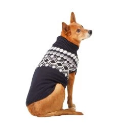 Merry & Bright™ Holiday Party Boy Dog Sweater