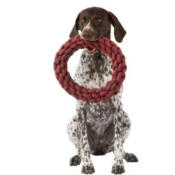 Merry & Bright&trade; Holiday Feelin' Knotty Ring Rope Dog Toy