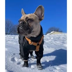 Goo-eez Lites All Season Dog Booties -Pet Essentials Shop 5343221 alt5