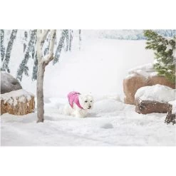 Arcadia Trail&trade; Ultra Reflective Dog Jacket -Pet Essentials Shop 5343280 alt6