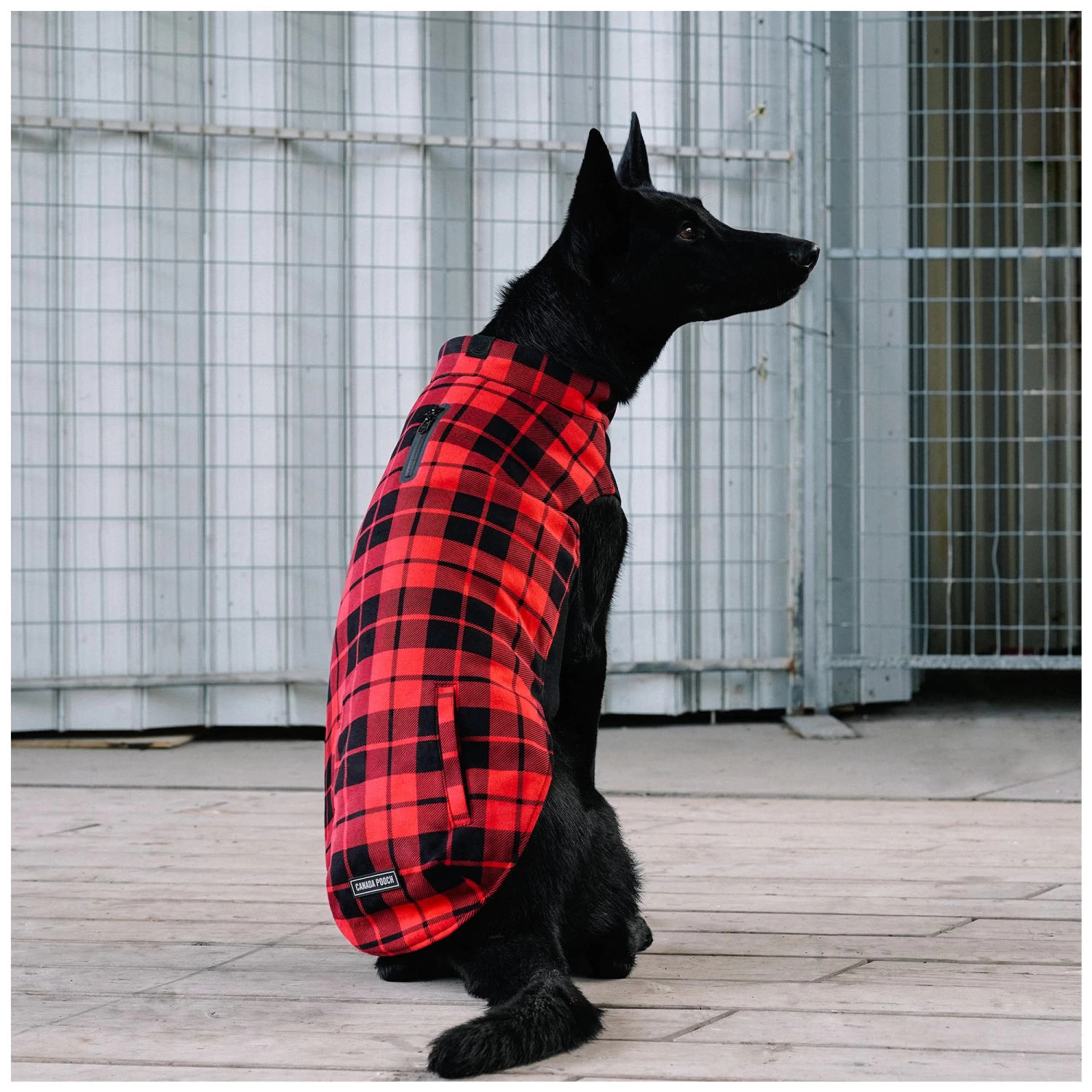 Canada Pooch Thermal Tech Fleece - Red Plaid 5 Canada Pooch Thermal Tech Fleece - Red Plaid - Image 5