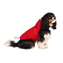 Canada Pooch Harness Puffer Jacket - Red -Pet Essentials Shop 5343607 alt2
