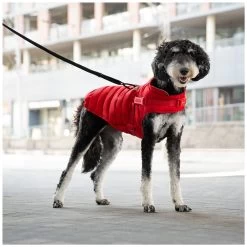 Canada Pooch Harness Puffer Jacket - Red -Pet Essentials Shop 5343607 alt4