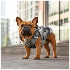 Canada Pooch Dog Shacket - Black Plaid -Pet Essentials Shop 5343624 alt4