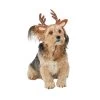 Merry & Bright™ Holiday Reindeer Dog Headband