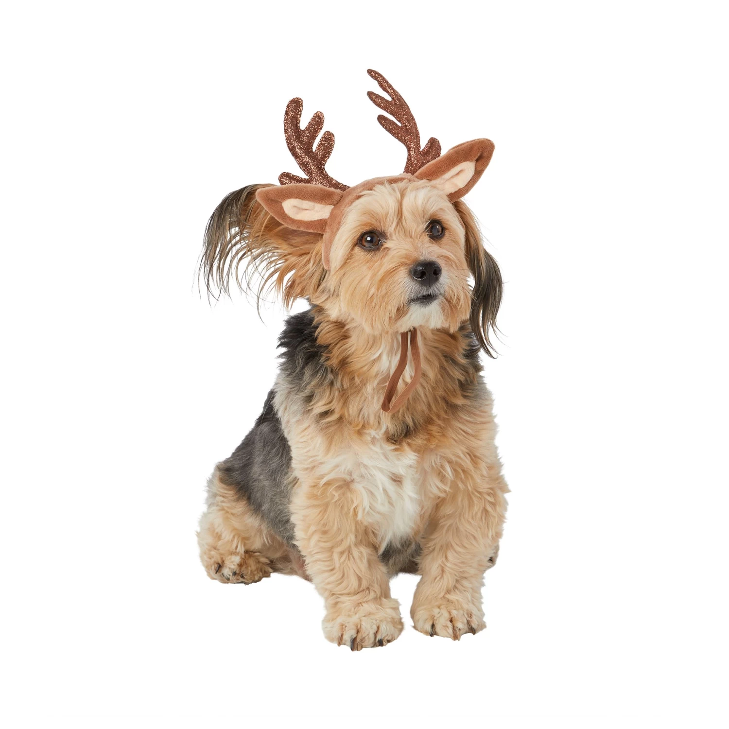 Merry & Bright™ Holiday Reindeer Dog Headband 1 Merry & Bright™ Holiday Reindeer Dog Headband