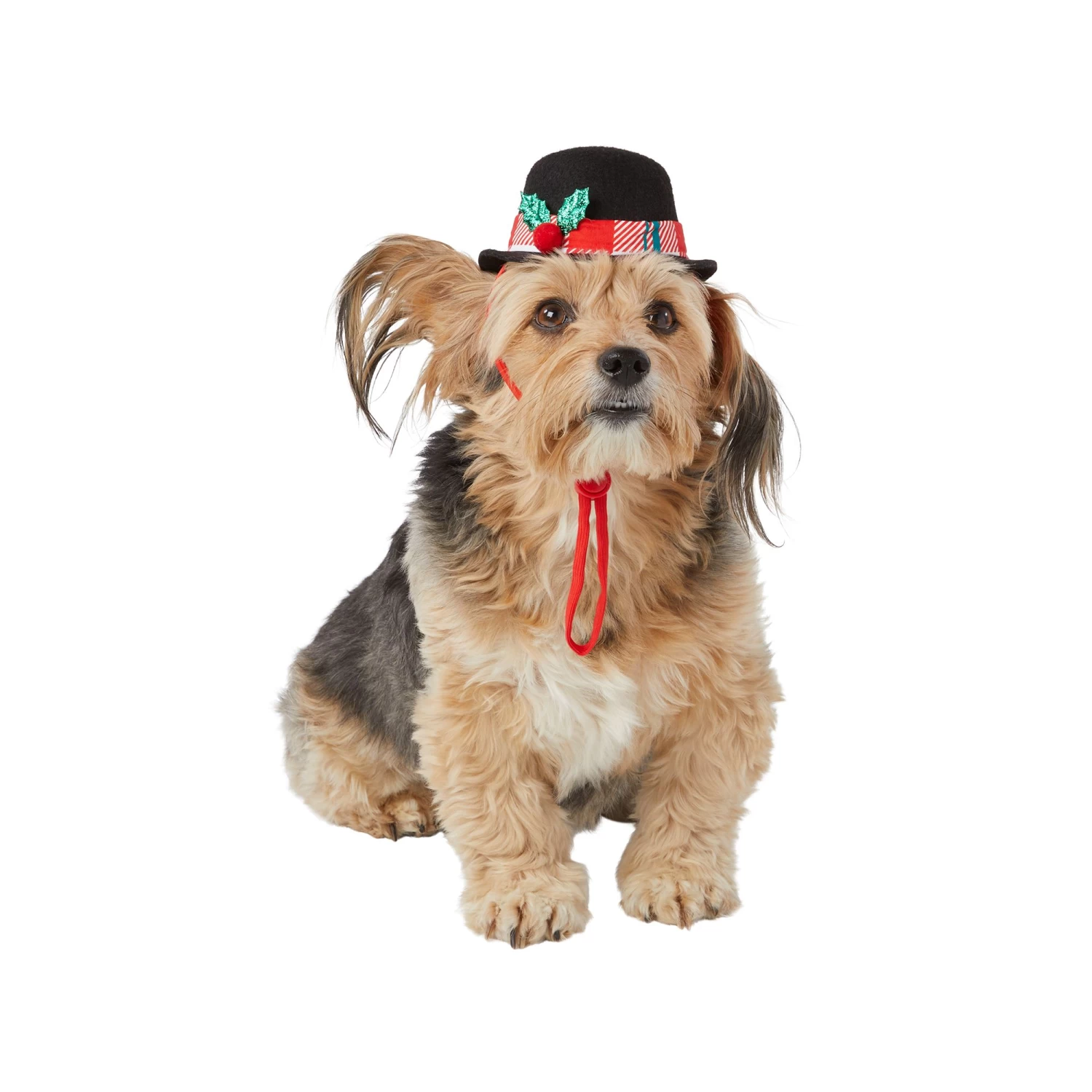 Merry & Bright™ Holiday Top Hat Dog Headband 1 Merry & Bright™ Holiday Top Hat Dog Headband