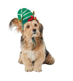 Merry & Bright™ Holiday Elf Hat Dog Headband