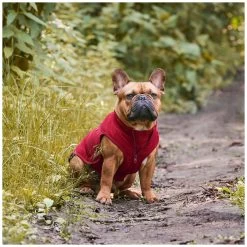 Beaver Canoe Puffer Vest - Red -Pet Essentials Shop 5343806 alt4