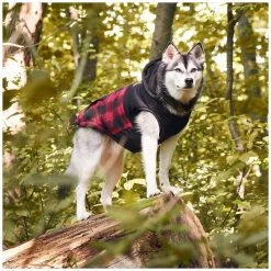 Beaver Canoe Workwear Printed Jacket - Red Plaid -Pet Essentials Shop 5343820 alt4