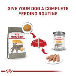 Royal Canin Large Breed Sensitive Skin Care Adult Dry Dog Food - Skin & Coat Health, Chicken -Pet Essentials Shop 5343857 alt5