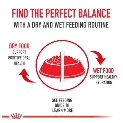 Royal Canin Large Breed Sensitive Skin Care Adult Dry Dog Food - Skin & Coat Health, Chicken -Pet Essentials Shop 5343857 alt9