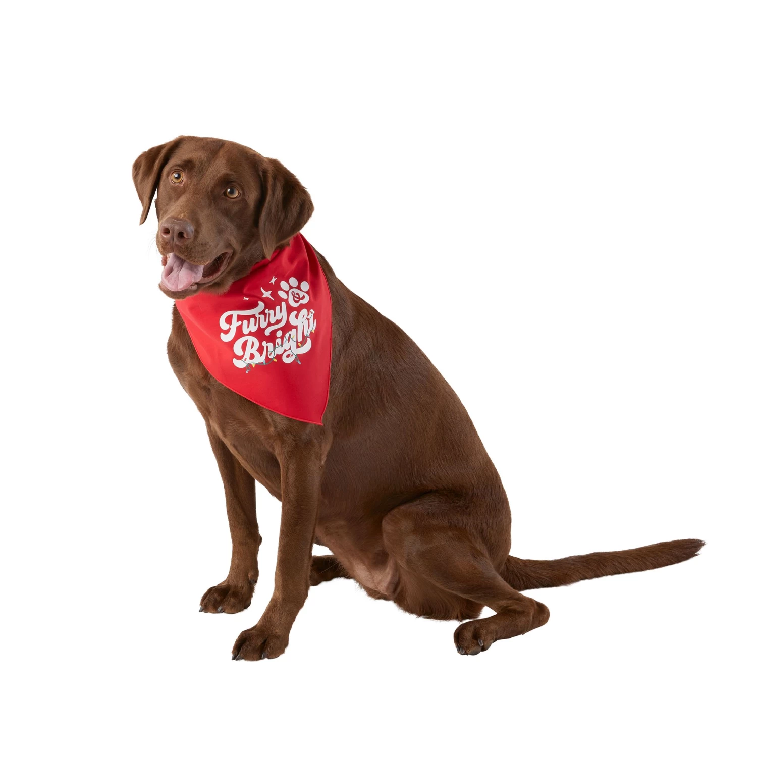 Merry & Bright™ Holiday Furry & Bright And Santa Hat Print Dog Bandana - 2 Pack 1 Merry & Bright™ Holiday Furry & Bright And Santa Hat Print Dog Bandana - 2 Pack