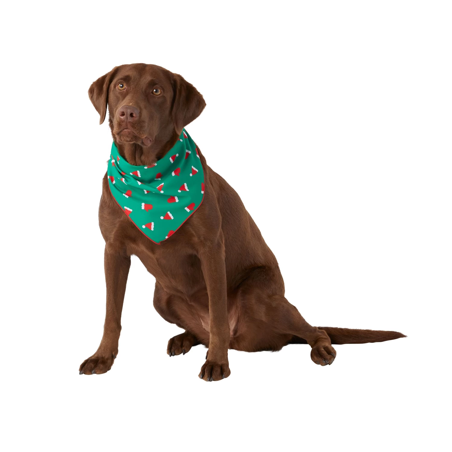 Merry & Bright™ Holiday Furry & Bright And Santa Hat Print Dog Bandana - 2 Pack 2 Merry & Bright™ Holiday Furry & Bright And Santa Hat Print Dog Bandana - 2 Pack - Image 2