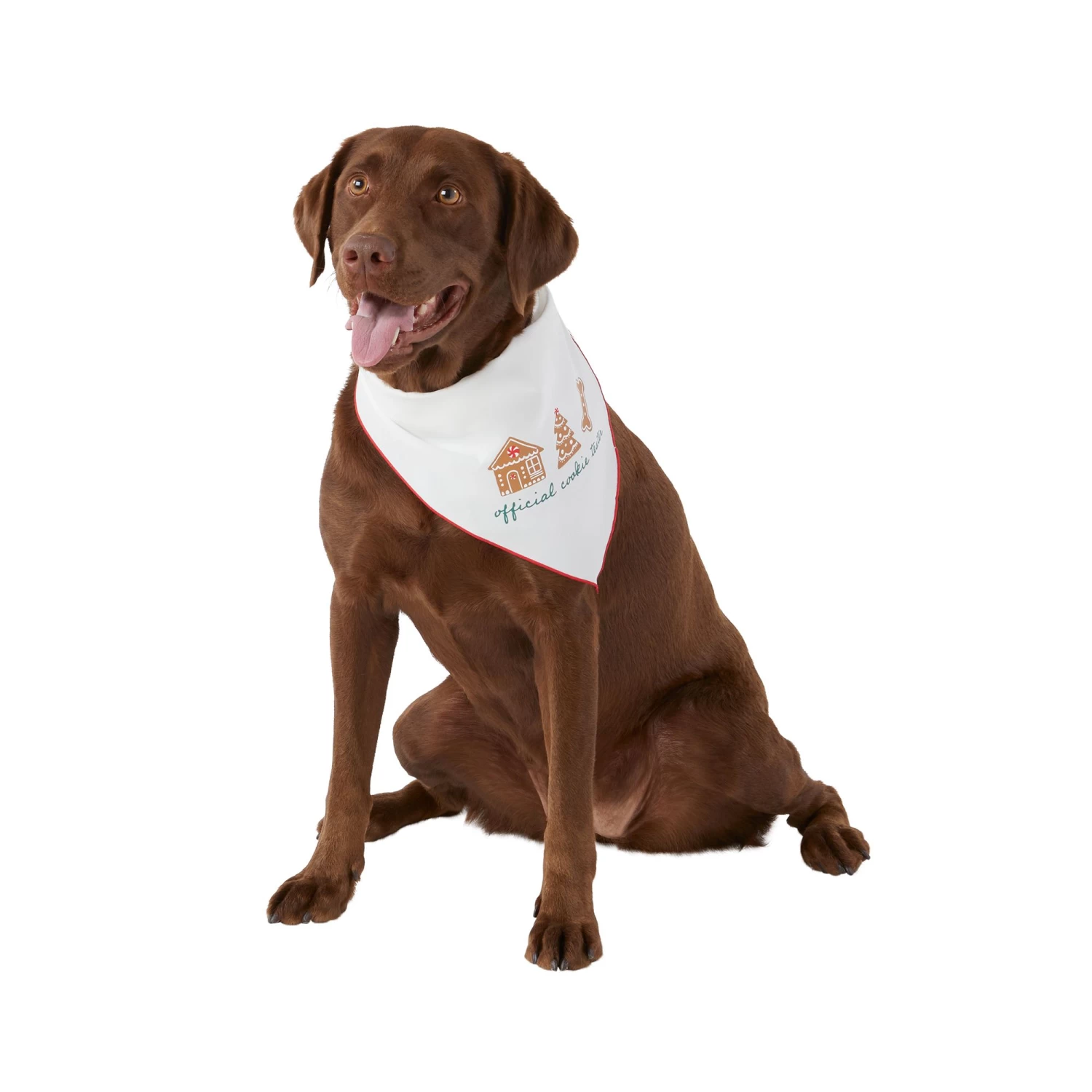 Merry & Bright™ Holiday Official Cookie Tester And Plaid Print Dog Bandana - 2 Pack 1 Merry & Bright™ Holiday Official Cookie Tester And Plaid Print Dog Bandana - 2 Pack