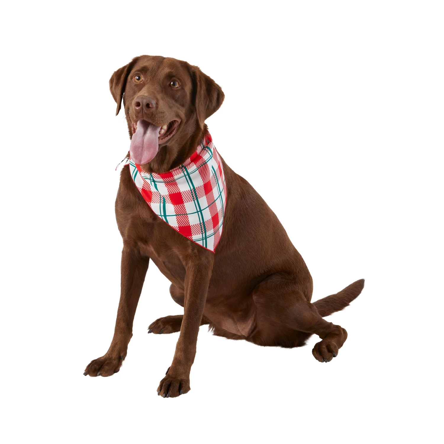Merry & Bright™ Holiday Official Cookie Tester And Plaid Print Dog Bandana - 2 Pack 2 Merry & Bright™ Holiday Official Cookie Tester And Plaid Print Dog Bandana - 2 Pack - Image 2