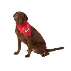 Merry & Bright™ Holiday Reindog In-Training And Fair Isle Print Dog Bandana - 2 Pack