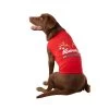 Merry & Bright&trade; Holiday Reindog In-Training Dog Tee-Shirt