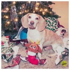 BARK Holiday Max's Stuffed Stocking The Grinch&trade; Plush Dog Toy -Pet Essentials Shop 5344396 alt2