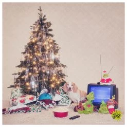 BARK Holiday Max's Stuffed Stocking The Grinch&trade; Plush Dog Toy -Pet Essentials Shop 5344396 alt4