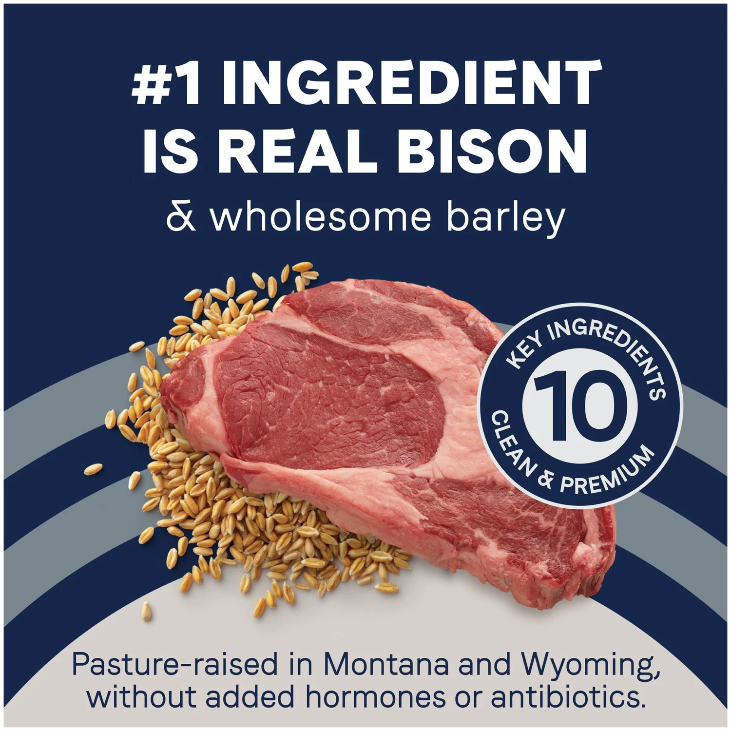 Canidae Pure Adult Dry Dog Food - Bison & Barley 5 Canidae Pure Adult Dry Dog Food - Bison & Barley - Image 5