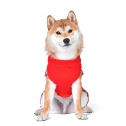 A Christmas Story Holiday "Oh Fudge! Dog Sweater 10 A Christmas Story Holiday "Oh Fudge! Dog Sweater -Pet Essentials Shop 5344720 alt4