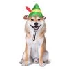Elf Holiday "Buddy" Elf Dog Hat