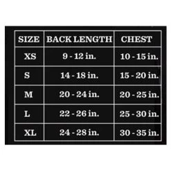 Peanuts Holiday Snoopy Dog Sweater -Pet Essentials Shop 5344755 alt4