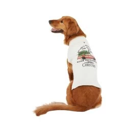 Blended Clothing Holiday Griswold Dog Sweater