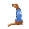 Blended Clothing Hanukkah Dog Tee