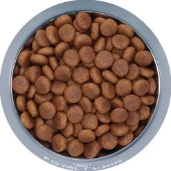 Royal Canin Size Health Nutrition Large Adult Dog Food 9 Royal Canin Size Health Nutrition Large Adult Dog Food -Pet Essentials Shop 5345441 alt2