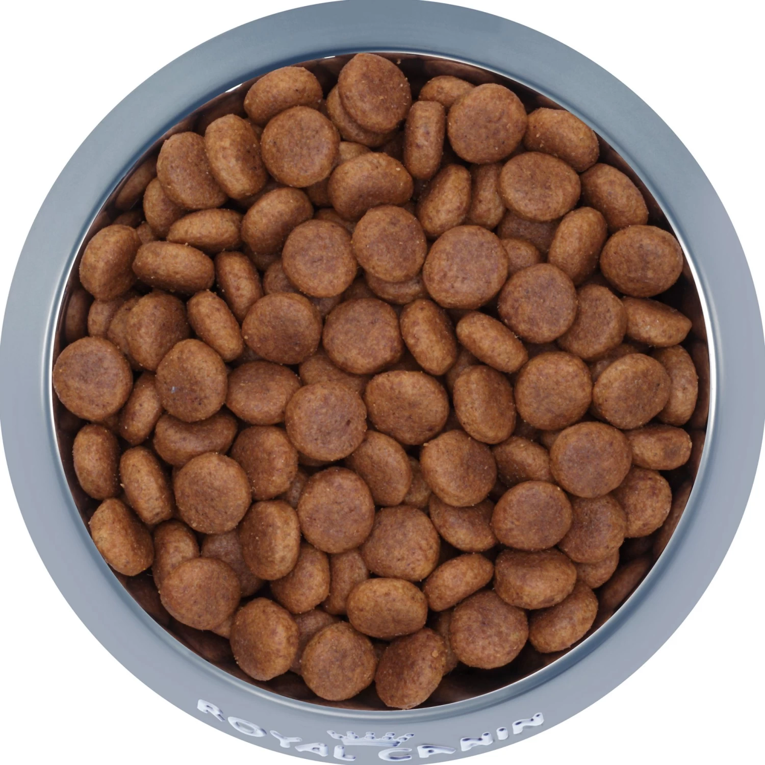 Royal Canin Size Health Nutrition Large Adult Dog Food 3 Royal Canin Size Health Nutrition Large Adult Dog Food - Image 3