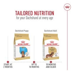 Royal Canin Breed Health Nutrition Dachshund Adult Dry Dog Food - Chicken -Pet Essentials Shop 5345500 alt6