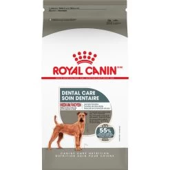 Royal Canin Care Nutrition Medium Dental Care Dry Dog Food - Chicken & Pork