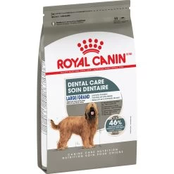Royal Canin Care Nutrition Large Dental Care Dry Dog Food - Chicken & Pork -Pet Essentials Shop 5345506 alt3