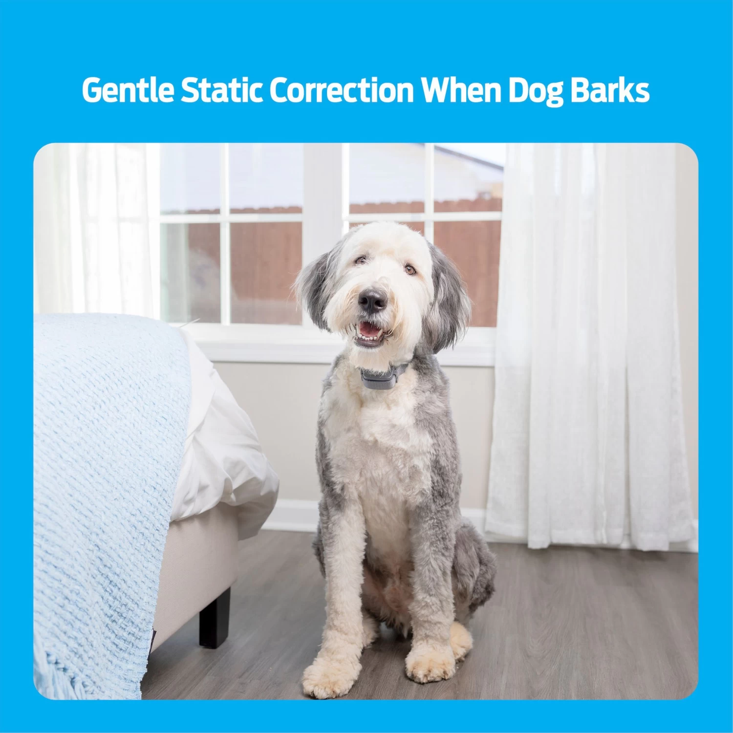 Premier® Premier Pet Rechargeable Bark Collar 3 Premier® Premier Pet Rechargeable Bark Collar - Image 3