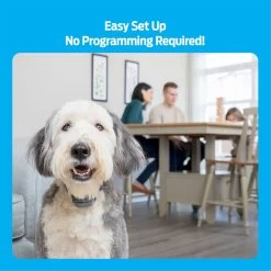 Premier® Premier Pet Rechargeable Bark Collar 13 Premier® Premier Pet Rechargeable Bark Collar -Pet Essentials Shop 5345962 alt5